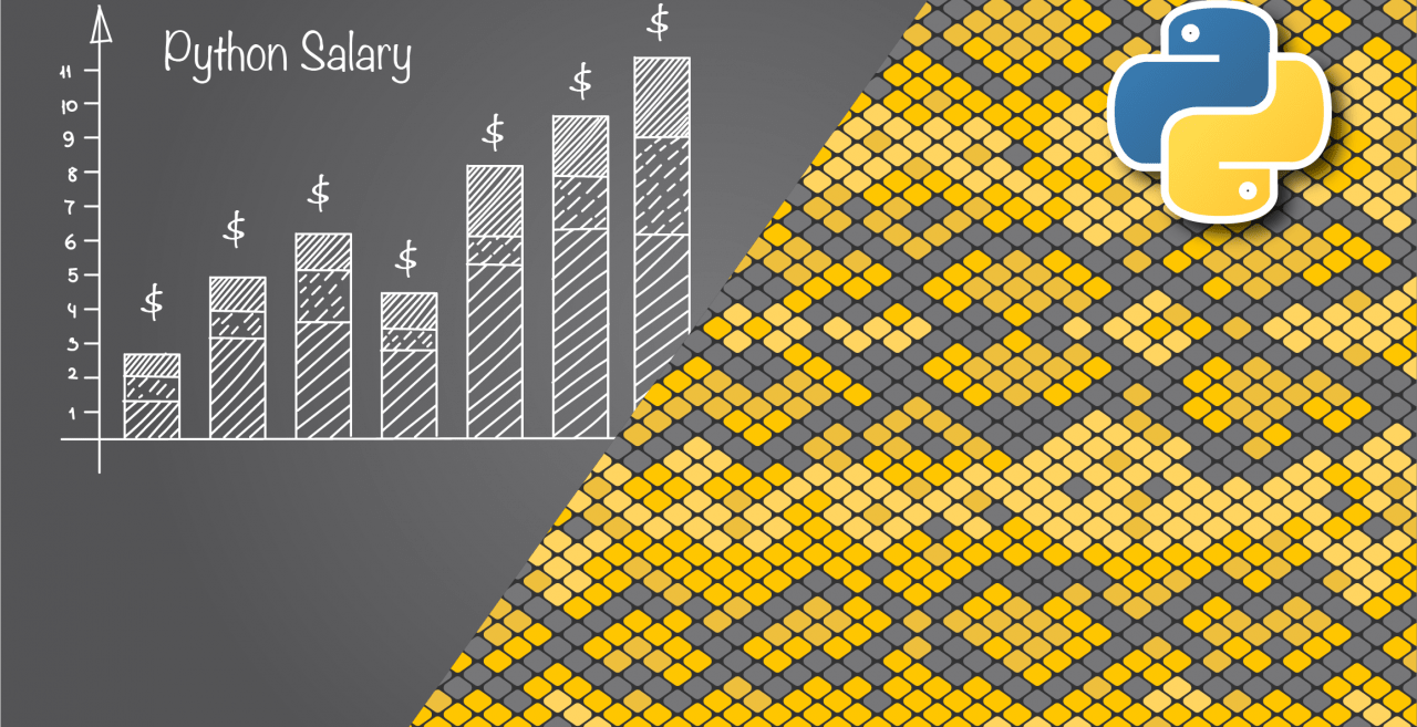 Python Developer Salary in the US and World in 2021